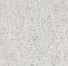 Линолеум Forbo Eternal Material 13772 brushed aluminium фото 1 | FLOORDEALER